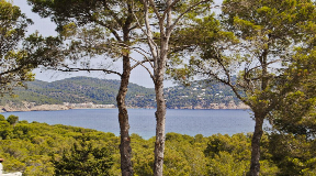 Parcela con licencia y fabulosas vistas al mar y al campo en lo alto de una colina en Sant Carles